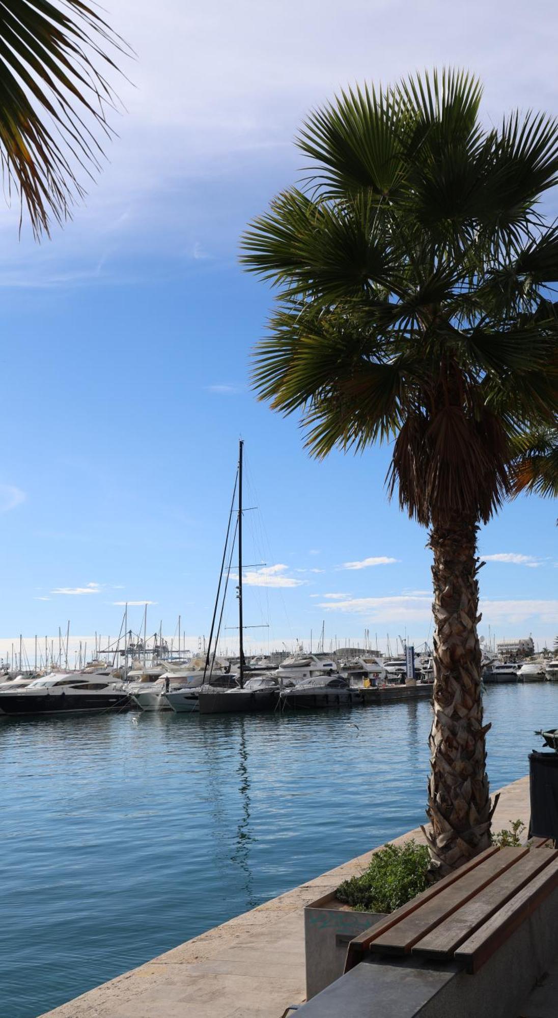 Alicantan Vital Experience Alicante Ngoại thất bức ảnh