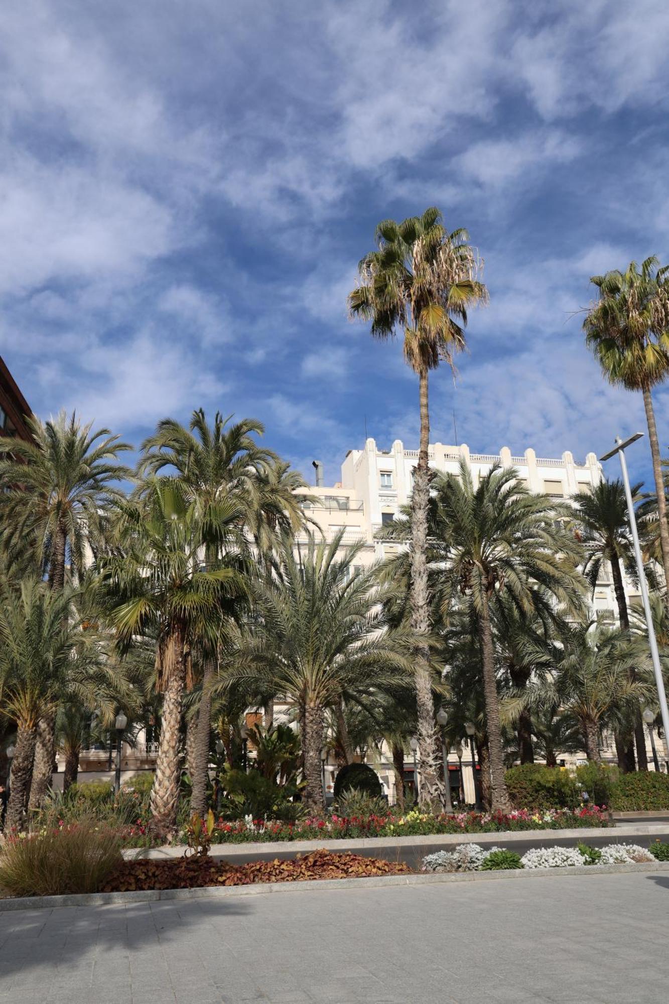 Alicantan Vital Experience Alicante Ngoại thất bức ảnh