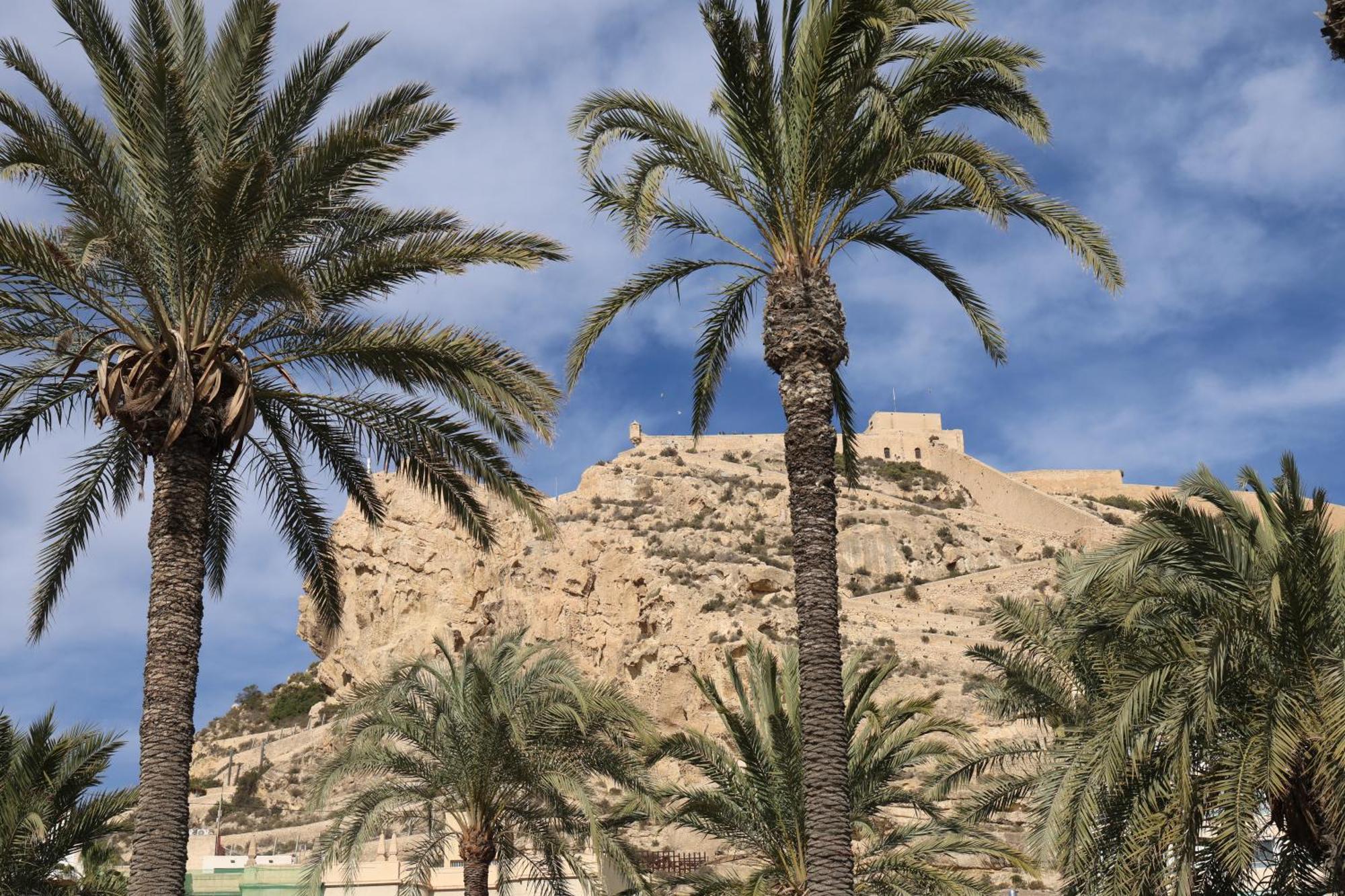 Alicantan Vital Experience Alicante Ngoại thất bức ảnh