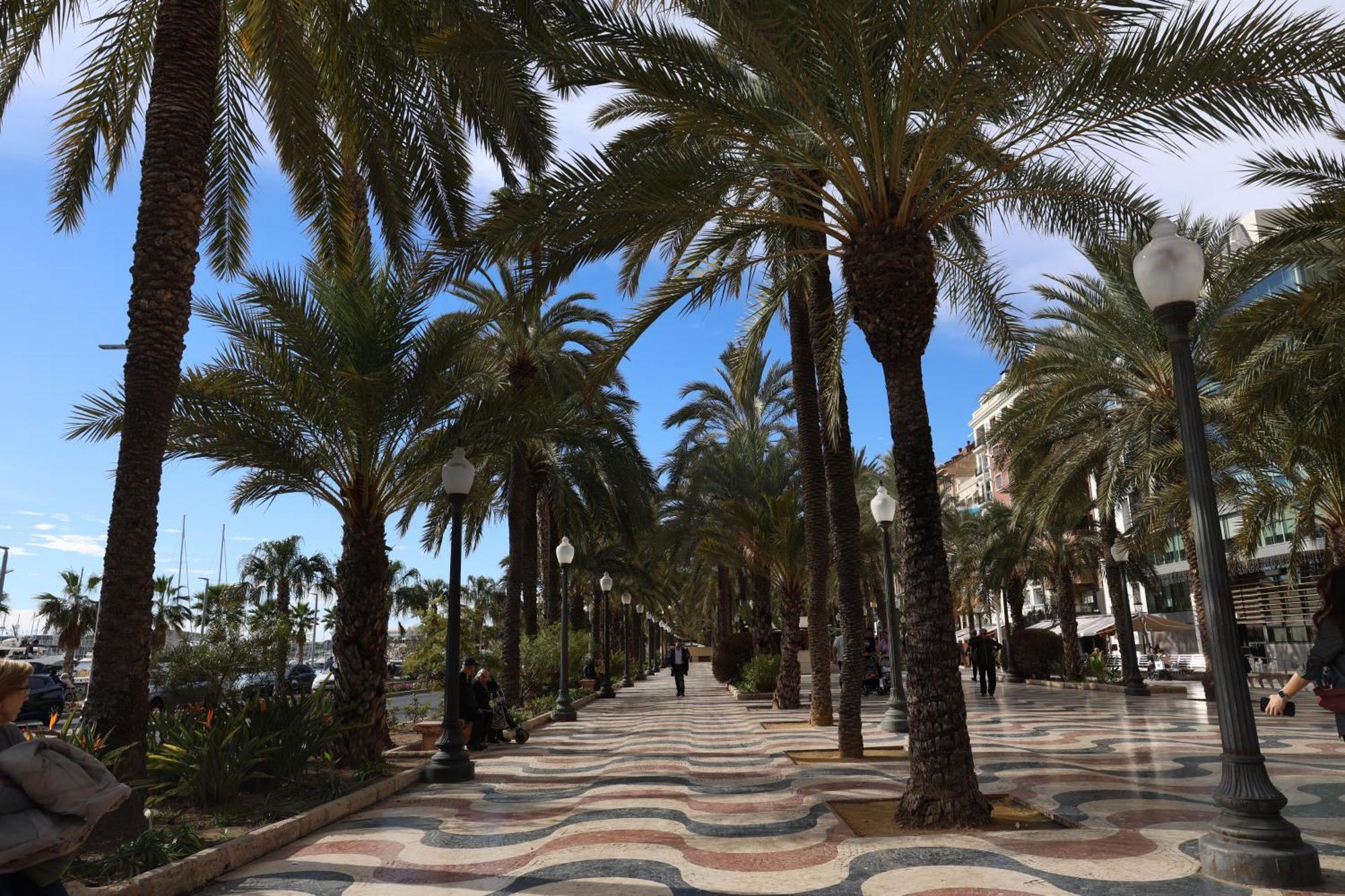 Alicantan Vital Experience Alicante Ngoại thất bức ảnh