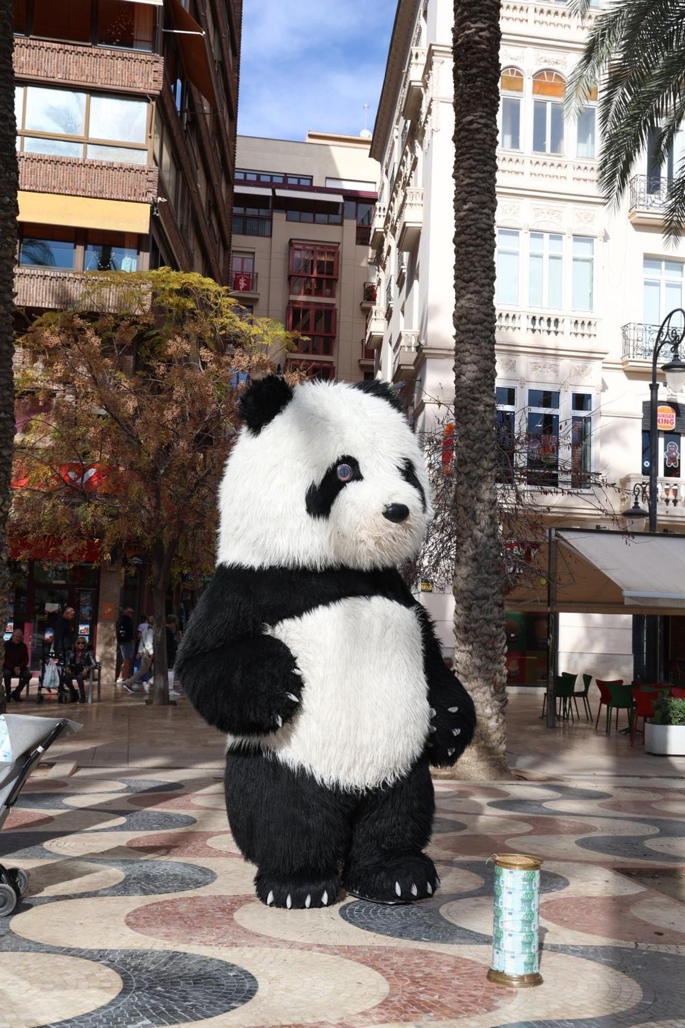 Alicantan Vital Experience Alicante Ngoại thất bức ảnh