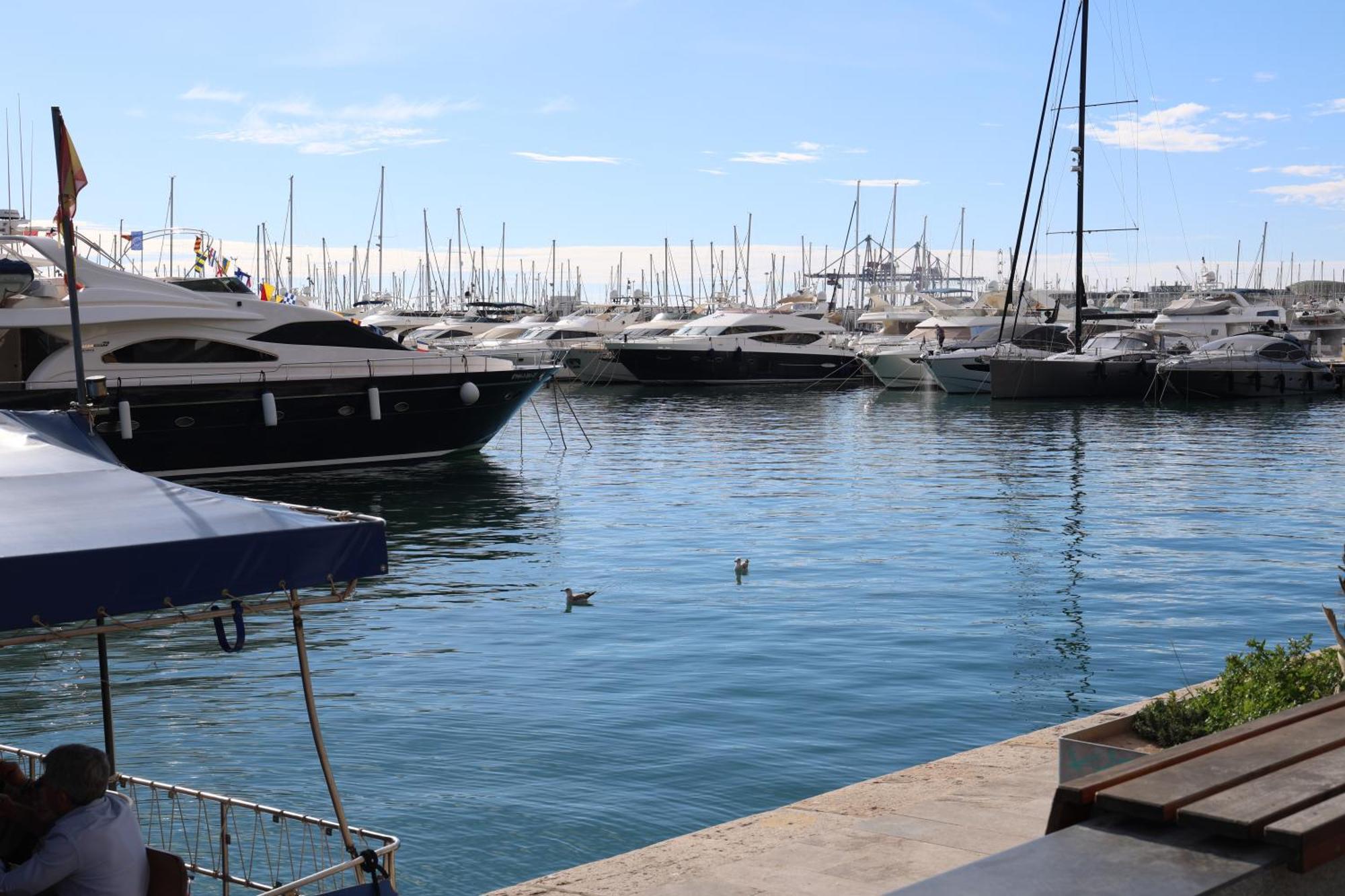 Alicantan Vital Experience Alicante Ngoại thất bức ảnh